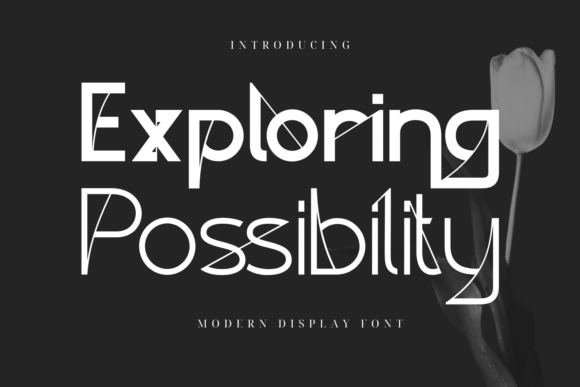 Exploring Possibility: A Font That Elevates Every Handmade Design